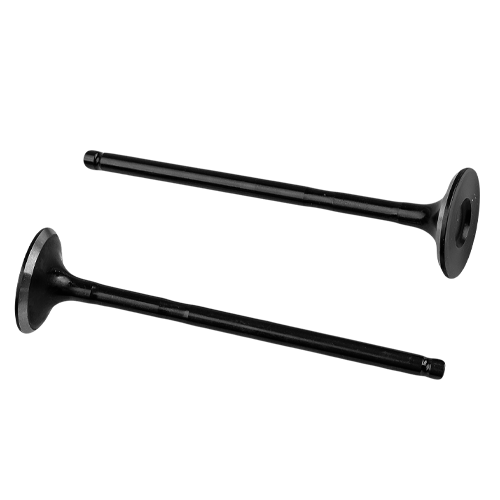 Einlassventil NISSAN KUBISTAR Kasten (X76) 1.2 16V | ET ENGINETEAM 