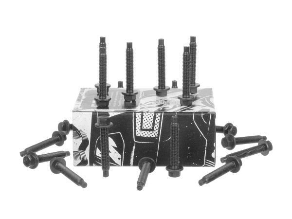 Bolt Set, bearing block (camshaft) - BS0060 ET ENGINETEAM - 9644862280, 013256