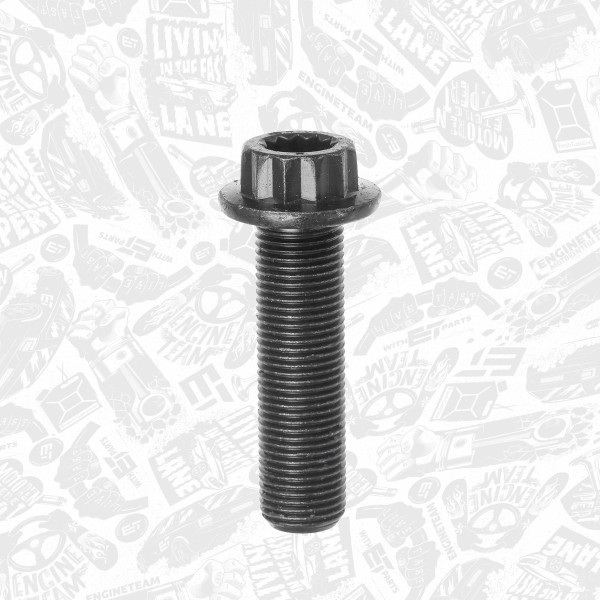 BS0092, Pulley Bolt, ET ENGINETEAM, VW Škoda Audi Seat Beetle Bora Caddy EOS Golf Passat Polo Scirocco Sharan Tiguan Touran Transporter Fabia Octavia Roomster Superb Yeti A2 A3 A4 A6 Q5 TT Alhambra Altea Cordoba Ibiza Leon Toledo 1.9 TDI ASZ 2000+, WHT004573, 45105229, V49028