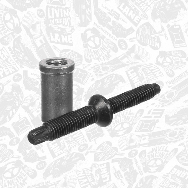 BS0094, Screw, injection nozzle holder, ET ENGINETEAM, Citroen Peugeot Ford Berlingo C4 C5 C8 Jumpy 307 308 407 508 608 807 Expert C-Max Focus Galaxy Kuga Mondeo S-Max 2.0HDI/TDCI 2001+, 1250990, 198263, 1982.62, 3M5Q9D927AA, 3M5Q9K549AB, 1483821