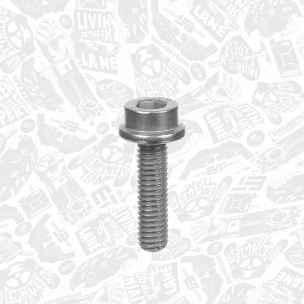 BS0096, Screw, ET ENGINETEAM, N90500605