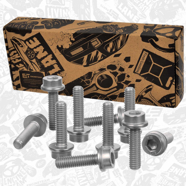 BS0096VR1, Screw, ET ENGINETEAM, N90500605