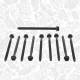 Cylinder Head Bolt Set - BS0101 ET ENGINETEAM - 1765604, 1E10-10-135A, 30711635