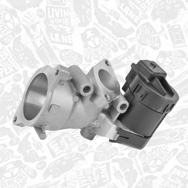Germban Vanne AGR 2.0 HDi - Compatible Citroën Peugeot Ford - Réf. 1618.S8 1618.GZ