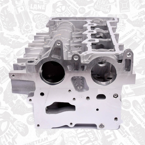 Cylinder Head + valves HL0133 ET 1609073180, 1864346