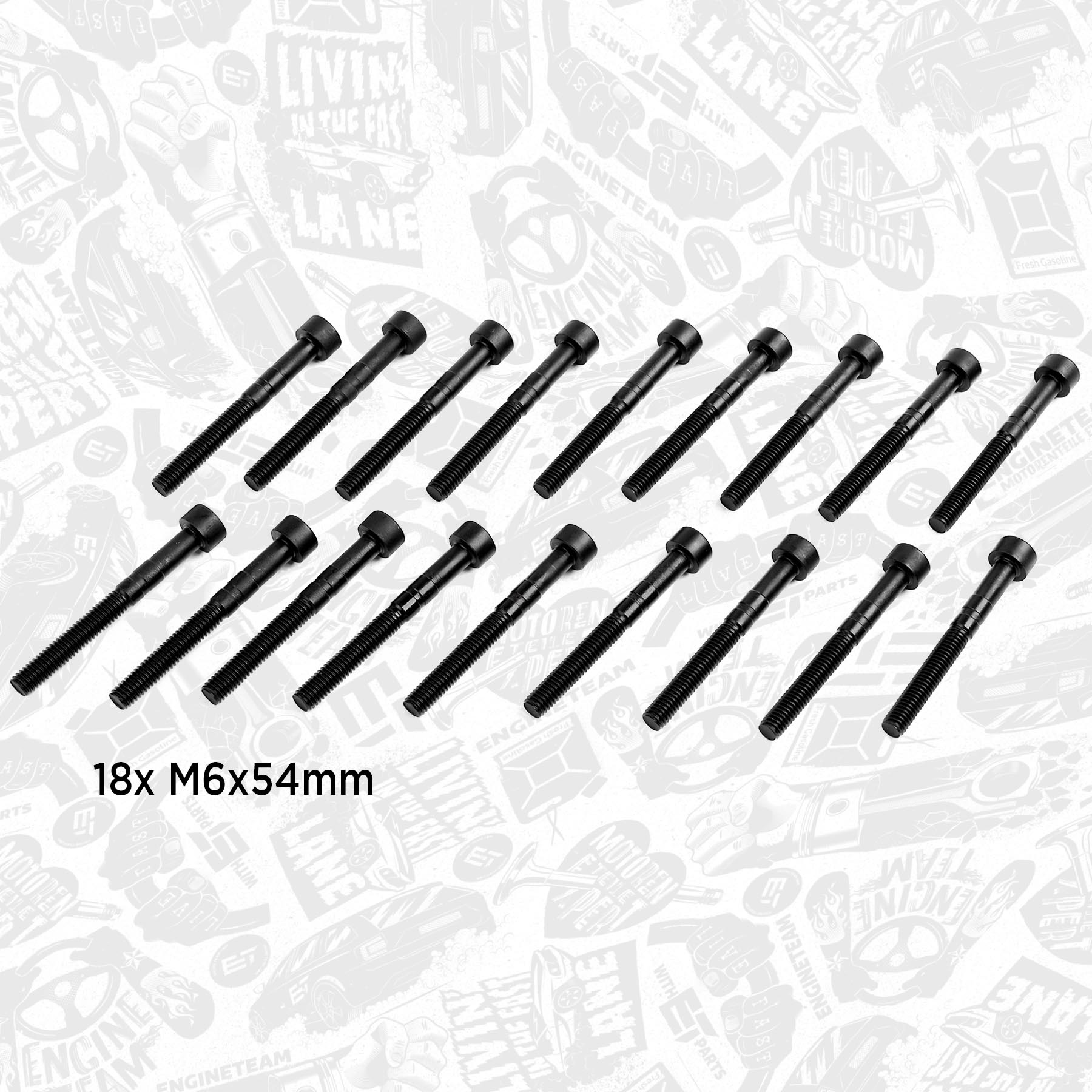 Nockenwellensatz - HV0362 ET ENGINETEAM - 070109101Q, 038109309C  