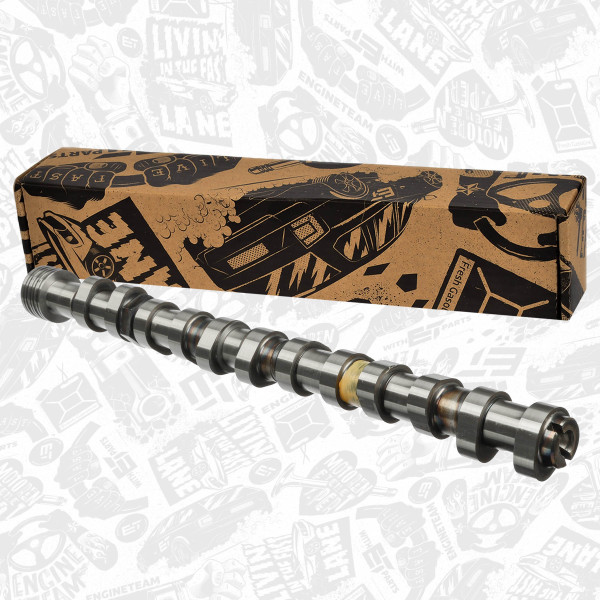 HV0381, Camshaft, ET ENGINETEAM, Audi Seat VW TT A3 Alhambra Golf Touareg Transporter IV BDE BDB AXJ 2,8 3,2 2003+, 022109102A