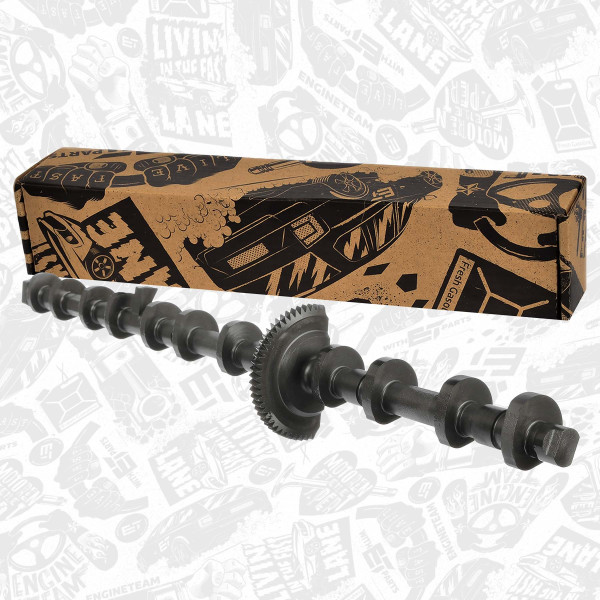 HV0478, Eccentric shaft, camshaft adjustment, ET ENGINETEAM, BMW 1 (F20) 135i 1 (F21) 135i 1 kupé (E82) 135 i 2 kupé (F22, F87) M 235 i 3 (E90) 335 i 3 (F30, F80) 335 i 3 Gran Turismo (F34) 335 i xDrive 3 Touring (F31) 335 i xDrive 4 Gran Coupe (F36) 435 iN55 B30 A 208+, 11377589883, 7589883