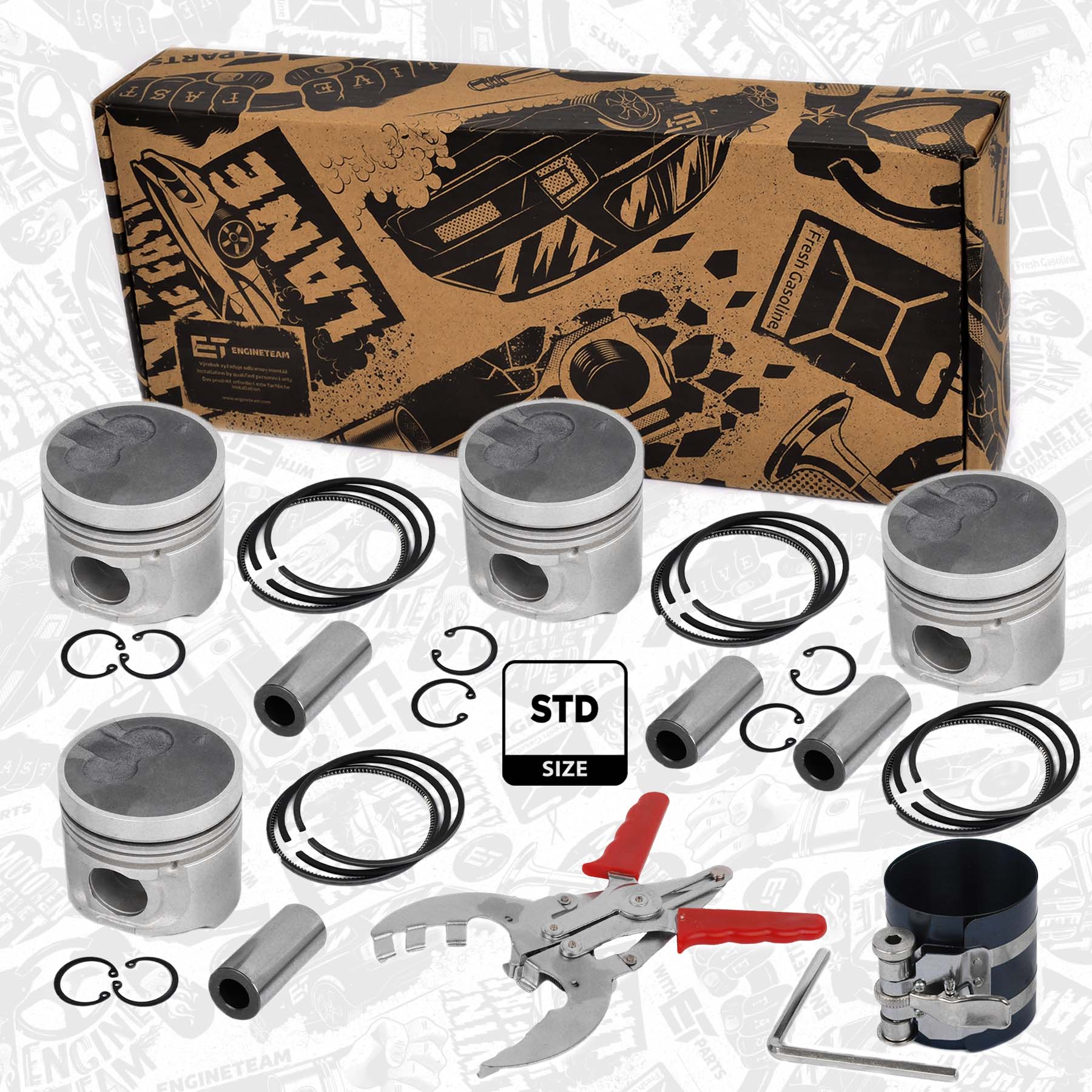 Piston kit - PM010100VR2 ET ENGINETEAM - MD377962, MD377963 