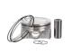 Piston with rings and pin - PM017800 ET ENGINETEAM - 32213697, FP23-113000