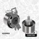 Oil Pump Set - PU0217VR2 ET ENGINETEAM - 243702U002, 243702U001, 243902U020