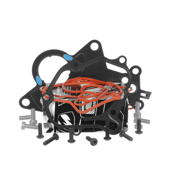 Repair Set, vacuum pump (braking system) - TM0025 ET ENGINETEAM - 038145209, 038145209A, 038145209C