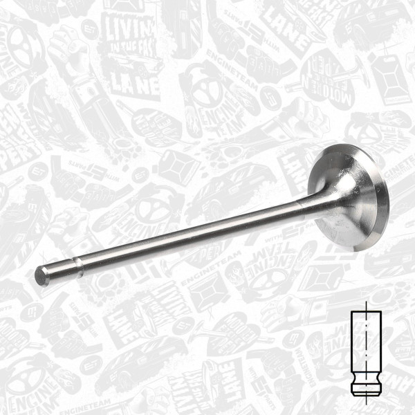 Exhaust Valve VE0048 ET 7701473101, 539014, R6139/R ET