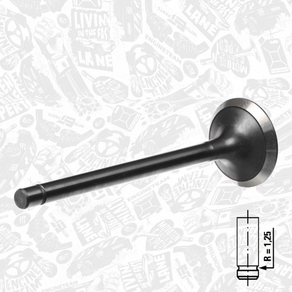 VE0086, Exhaust Valve, ET ENGINETEAM, Iveco EuroCargo/Zeta 8040/8060 1987-2000, 4784889, 99432718, 4784890, 99432717, 1904654, 4806717, 1904655, 17076, 823480, R4233/BMNT, V91302, R4233/RNT, V91304