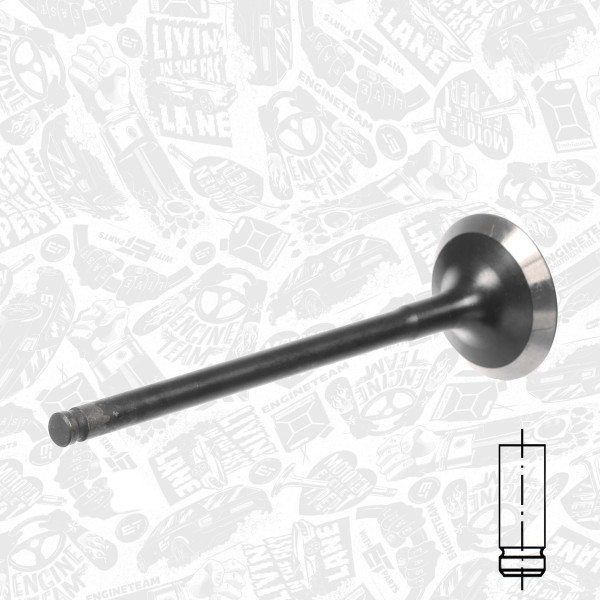 VE0192, Exhaust Valve, ET ENGINETEAM, Jaguar Land Rover F-Pace F-Type XE XF XJ Range rover IV Velar Sport Discovery  3.0 SCV6 306PS(AJ126) 2015+, C2Z29182, LR054852