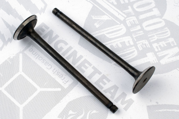 VI0127, Intake Valve, ET ENGINETEAM, Opel Astra H 1,7CDTI A/Z 17 DTR 2006+, 641085, 291121, R6645/SNT