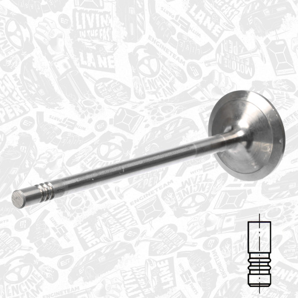 VI0155, Intake Valve, ET ENGINETEAM, MAN Truck Bus TGA/TGL/TGM Hocl Lion’s City Lion's Classic Neoplan Optare Otokar D0834LF* D0834LFL* D0834LOH* D0836LFL* D0836LOH* Euro 3/4/5/6 2002+, 51.041.010.515, 51.041.010.516, 51.041.010.537, 020520083000, 227VE30958000, 25304, 826400, V95029