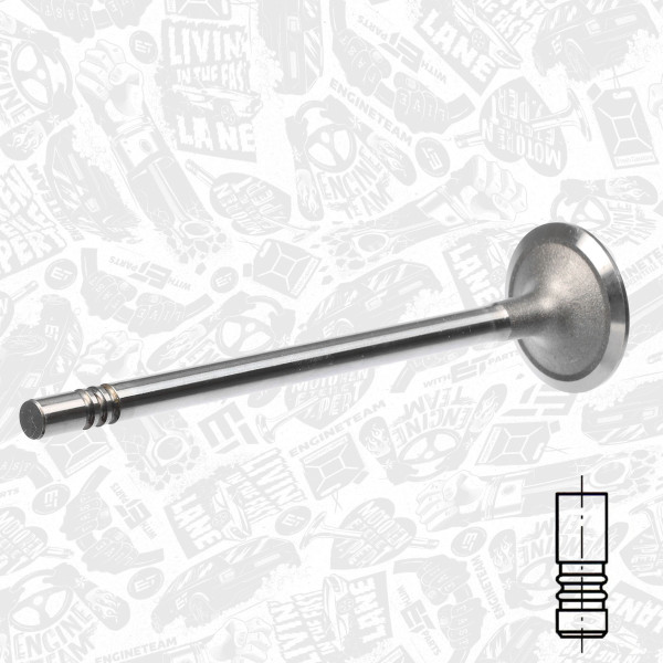 Intake Valve VI0166 ET 1096250, 1254284, YC1Q6507A1B