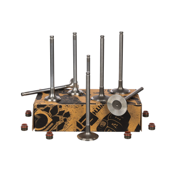 Ventilsatz, Einlass-/Auslassventil - VS0002 ET ENGINETEAM - 97531044, 97533264, 0949.59
