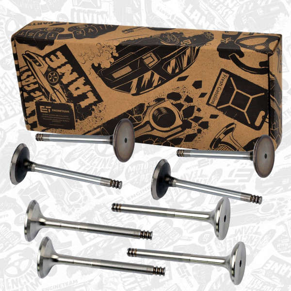VS0005VR2, Sada ventilů, sací/výfukový ventil, Ventil set IN/EX 1,9TDI, ET ENGINETEAM, Audi Seat Skoda VW A4 A6 Alhambra Toledo Leon Fabia Octavia Roomster Golf Passat 1,9TDI 2000+, 038109601B, 038109611B, 1100678, 1100679, 029VA30915000, 331033, R6128/S, V94147, 029VE30914000, 331034, R6129/BM, V94148, V94415