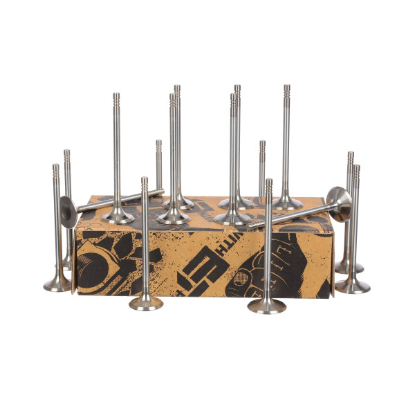 Sada ventilů, sací/výfukový ventil - VS0029 ET ENGINETEAM - 641095, 9158474, 55564737